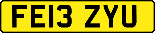 FE13ZYU