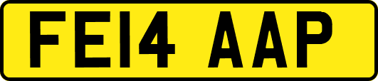 FE14AAP