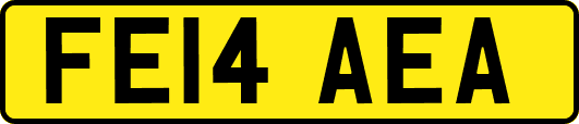 FE14AEA