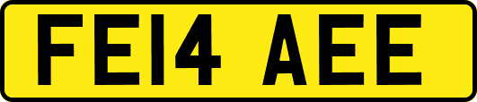 FE14AEE