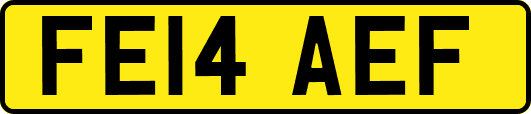 FE14AEF