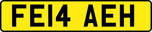 FE14AEH