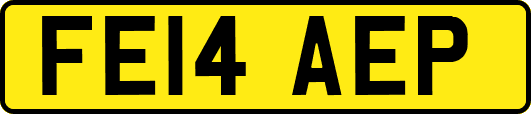 FE14AEP