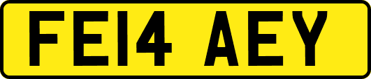 FE14AEY