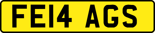 FE14AGS