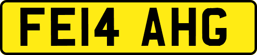 FE14AHG