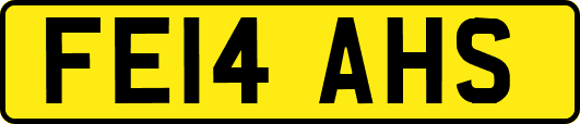 FE14AHS