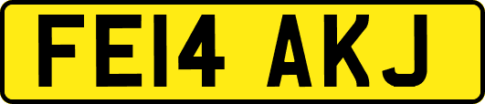 FE14AKJ