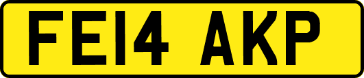 FE14AKP