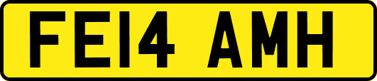 FE14AMH