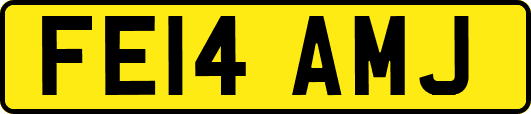 FE14AMJ