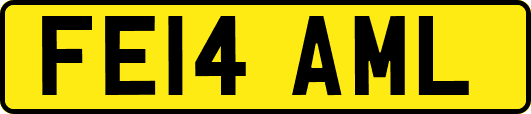 FE14AML