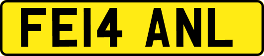 FE14ANL