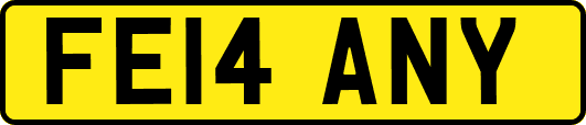 FE14ANY
