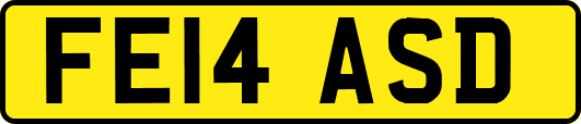 FE14ASD