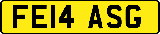 FE14ASG