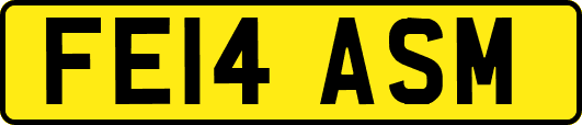 FE14ASM