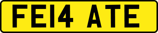 FE14ATE