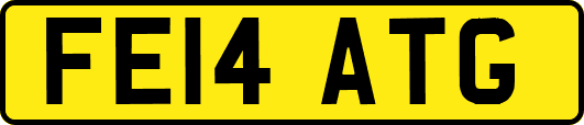 FE14ATG