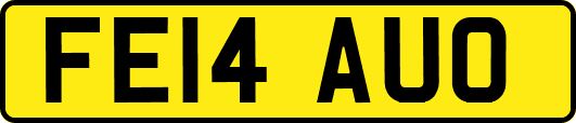 FE14AUO