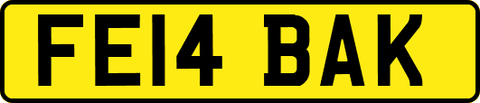FE14BAK
