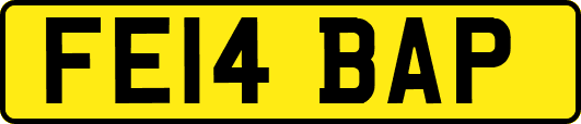 FE14BAP