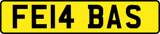 FE14BAS