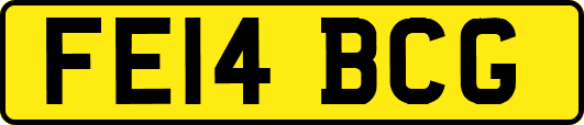 FE14BCG