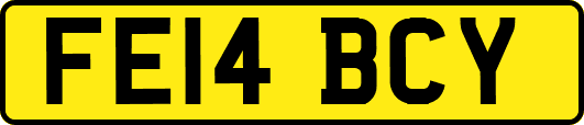FE14BCY
