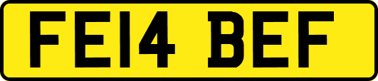 FE14BEF