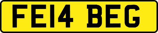 FE14BEG