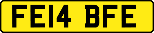 FE14BFE