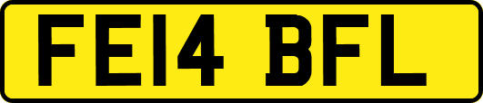 FE14BFL
