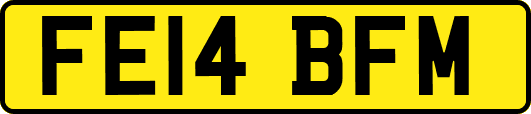FE14BFM