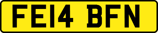 FE14BFN