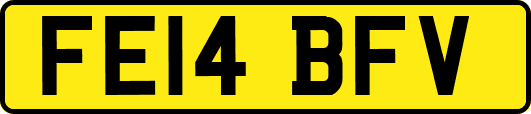 FE14BFV