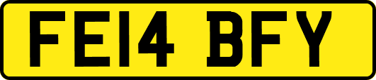 FE14BFY