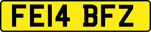 FE14BFZ
