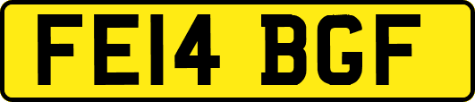 FE14BGF