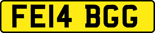 FE14BGG