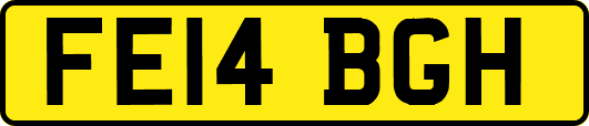 FE14BGH