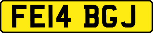 FE14BGJ