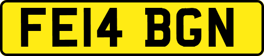 FE14BGN