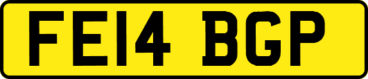 FE14BGP