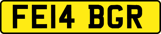 FE14BGR