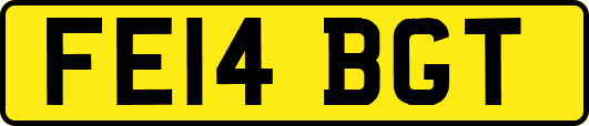 FE14BGT