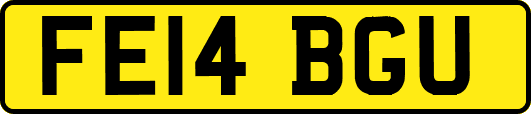 FE14BGU