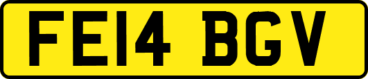 FE14BGV