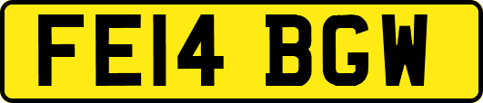 FE14BGW