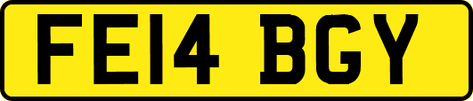 FE14BGY